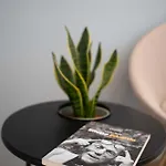 Boutique Luxury Gæstehus Napoli